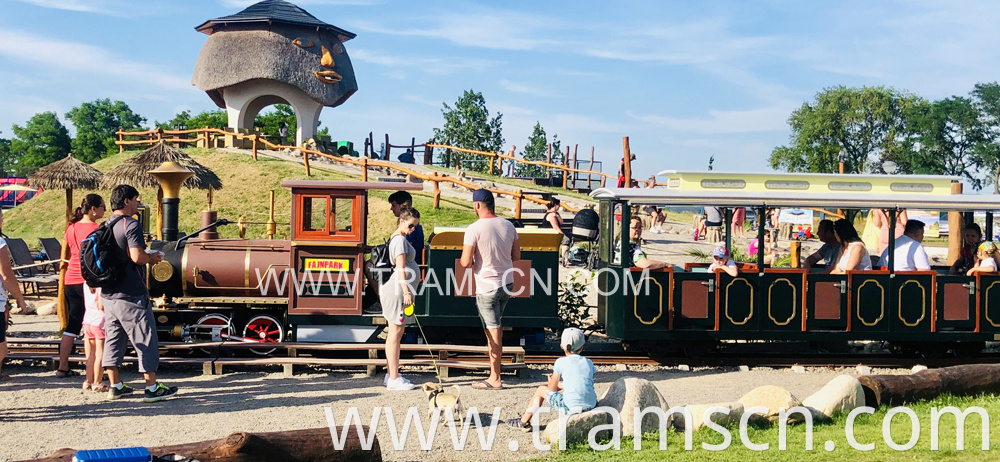 Rail Trains brown colours